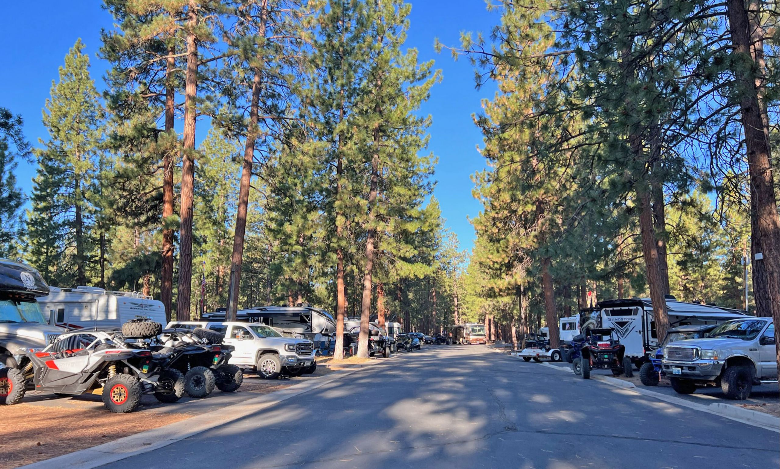 tree-lined camping road